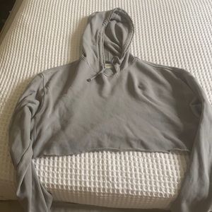 Josh Brown Gray Crop Hoodie